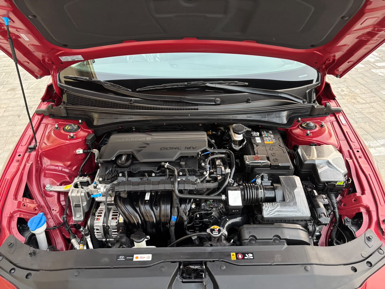 2025 HYUNDAI ELANTRA